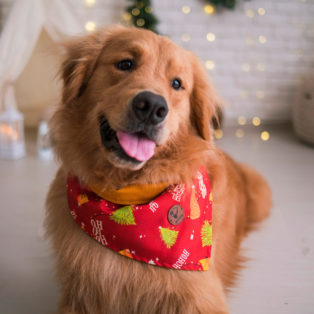 Bandanas