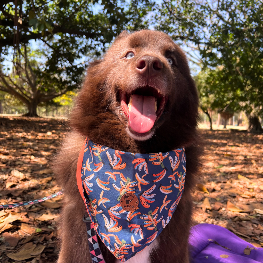 Bandana Banana