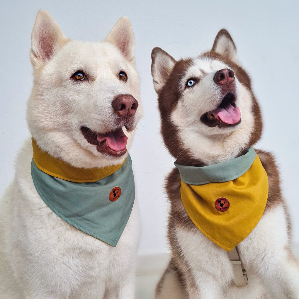 Bandana mostarda/verde