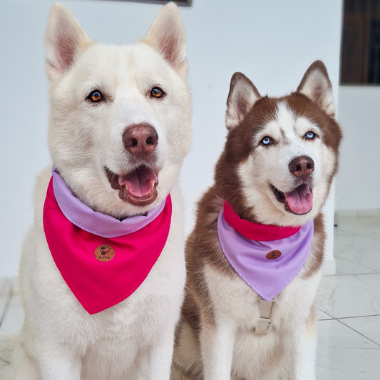 Bandana lavanda/rosa