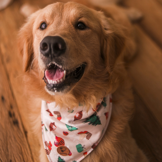 Bandana Símbolos do Natal