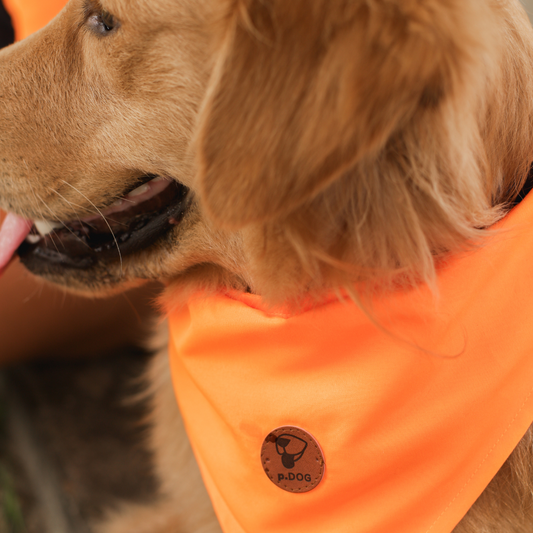 Bandana laranja neon