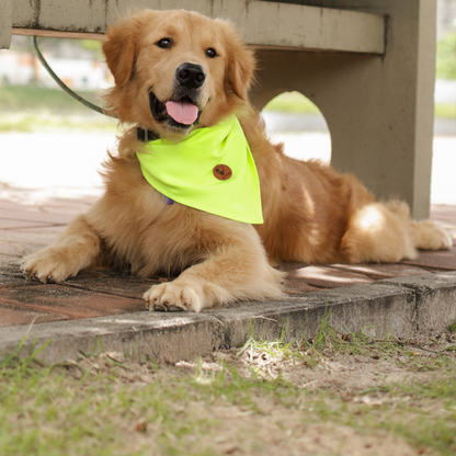 Bandana verde limão