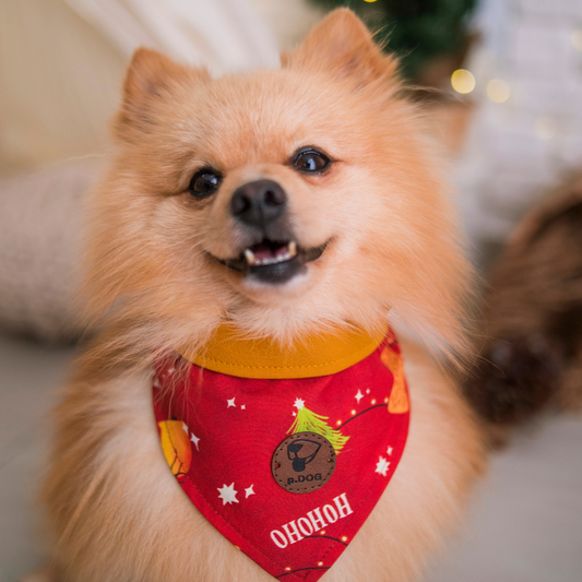 Bandana Feliz Natal