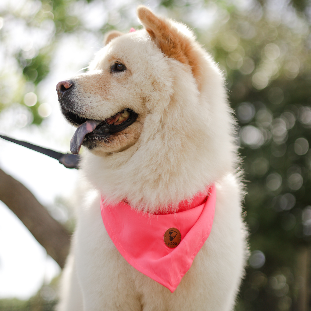 Bandana rosa choquei