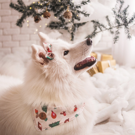 Laço Símbolos do Natal