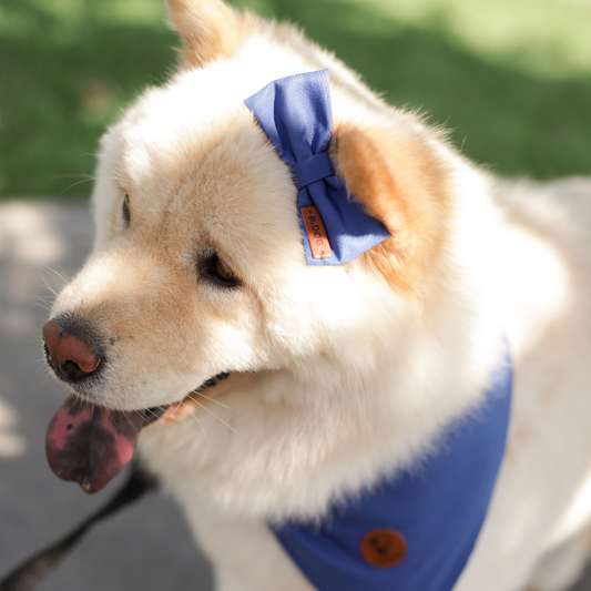 Bandana azul neon