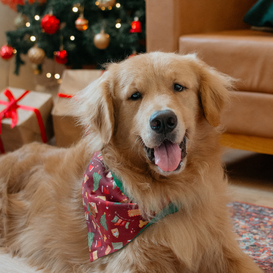 Bandana Cartas para Noel