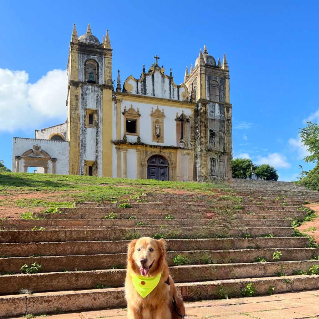 Bandana verde limão