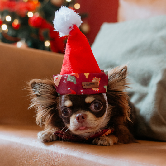 Gorro Cartas para Noel