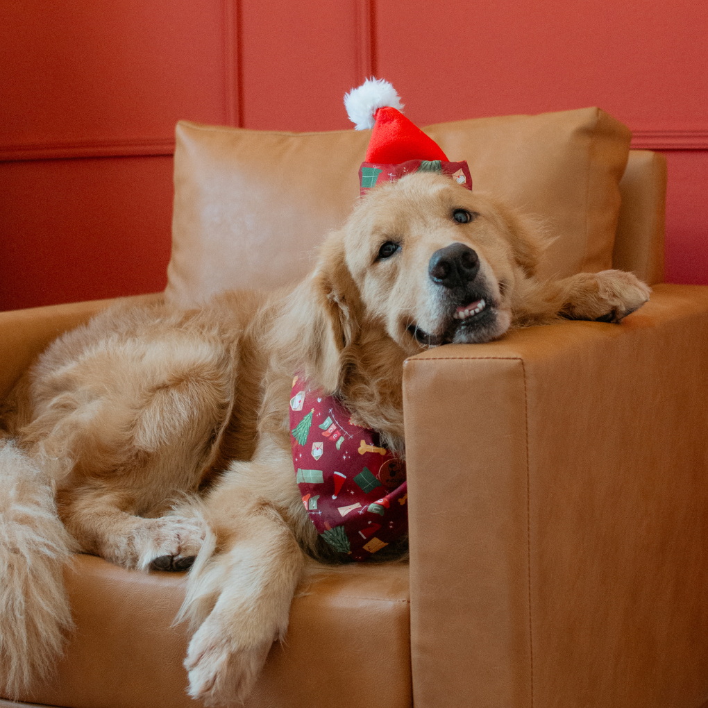 Gorro Cartas para Noel