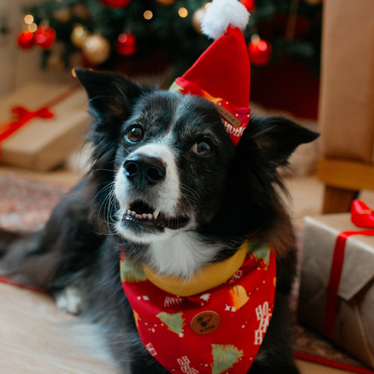 Gorro Feliz Natal