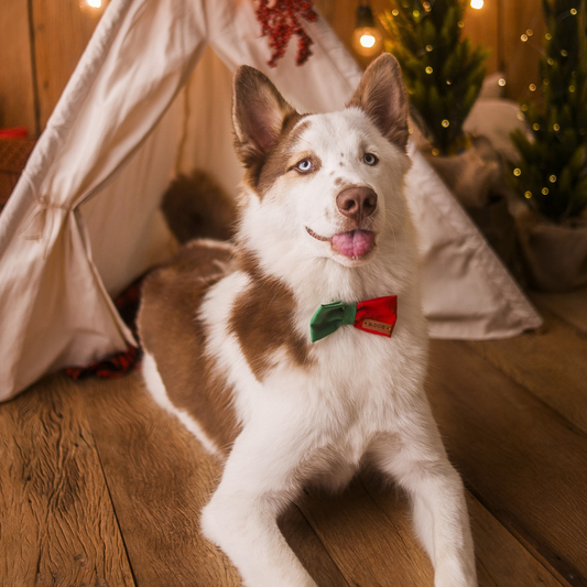 Gravata Presente de Natal