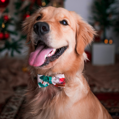 Gravata Símbolos do Natal